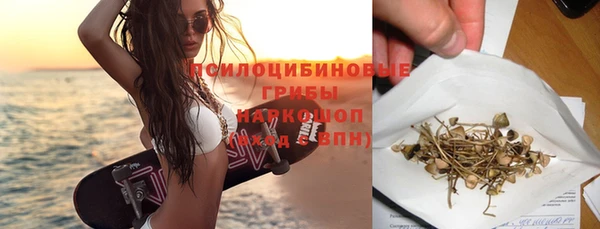 дживик Алексеевка