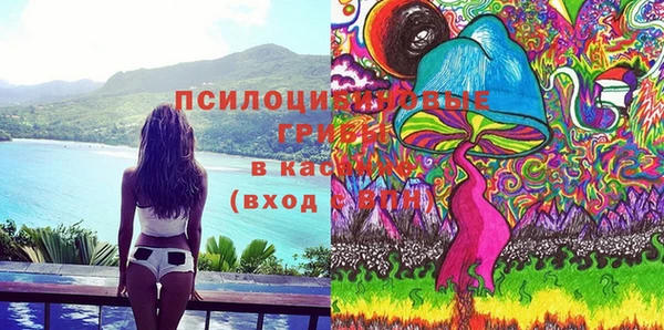 дурь Алексин