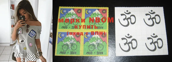 дурь Алексин